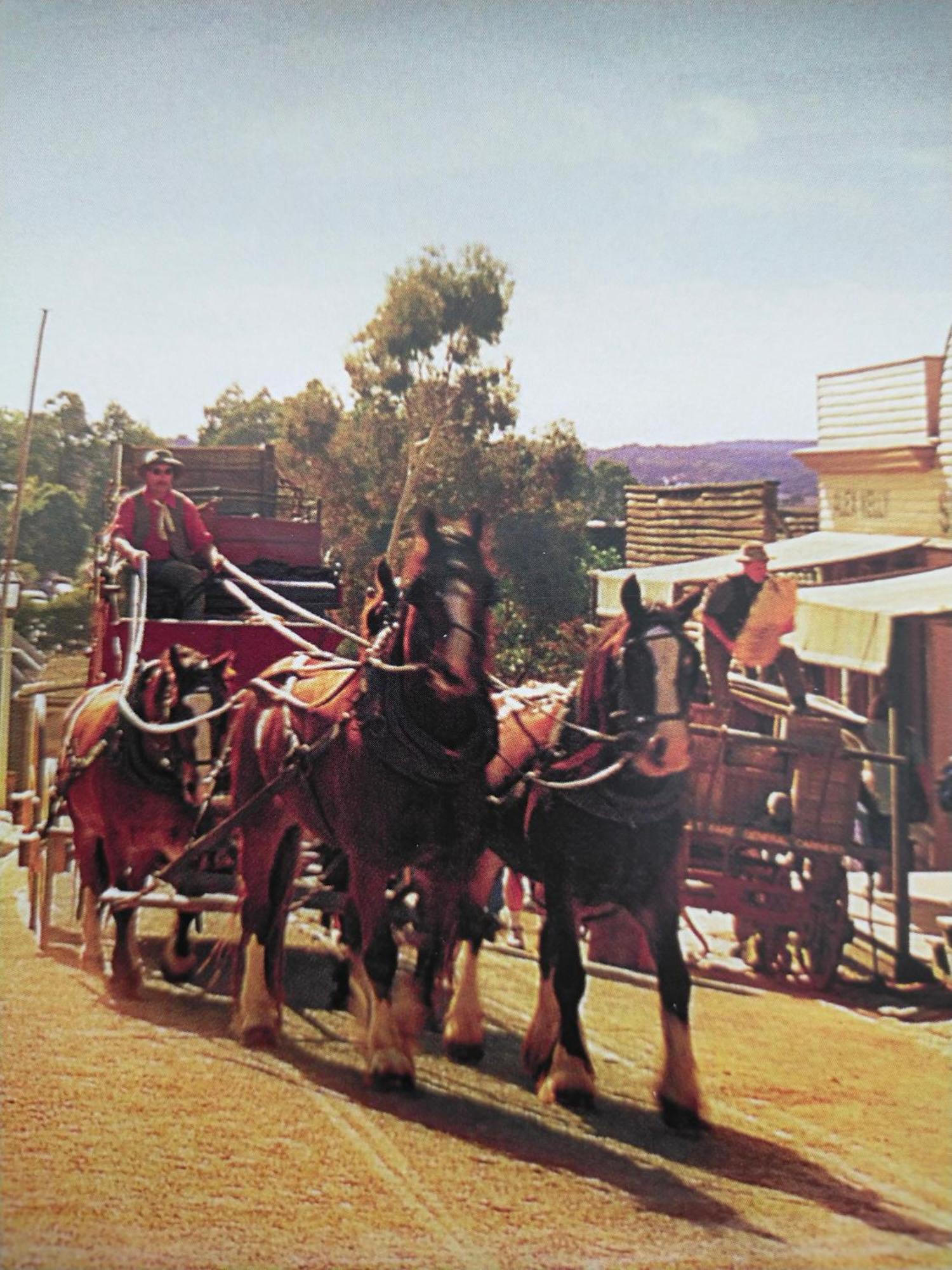 Dunstans Guest House Ballarat Extérieur photo